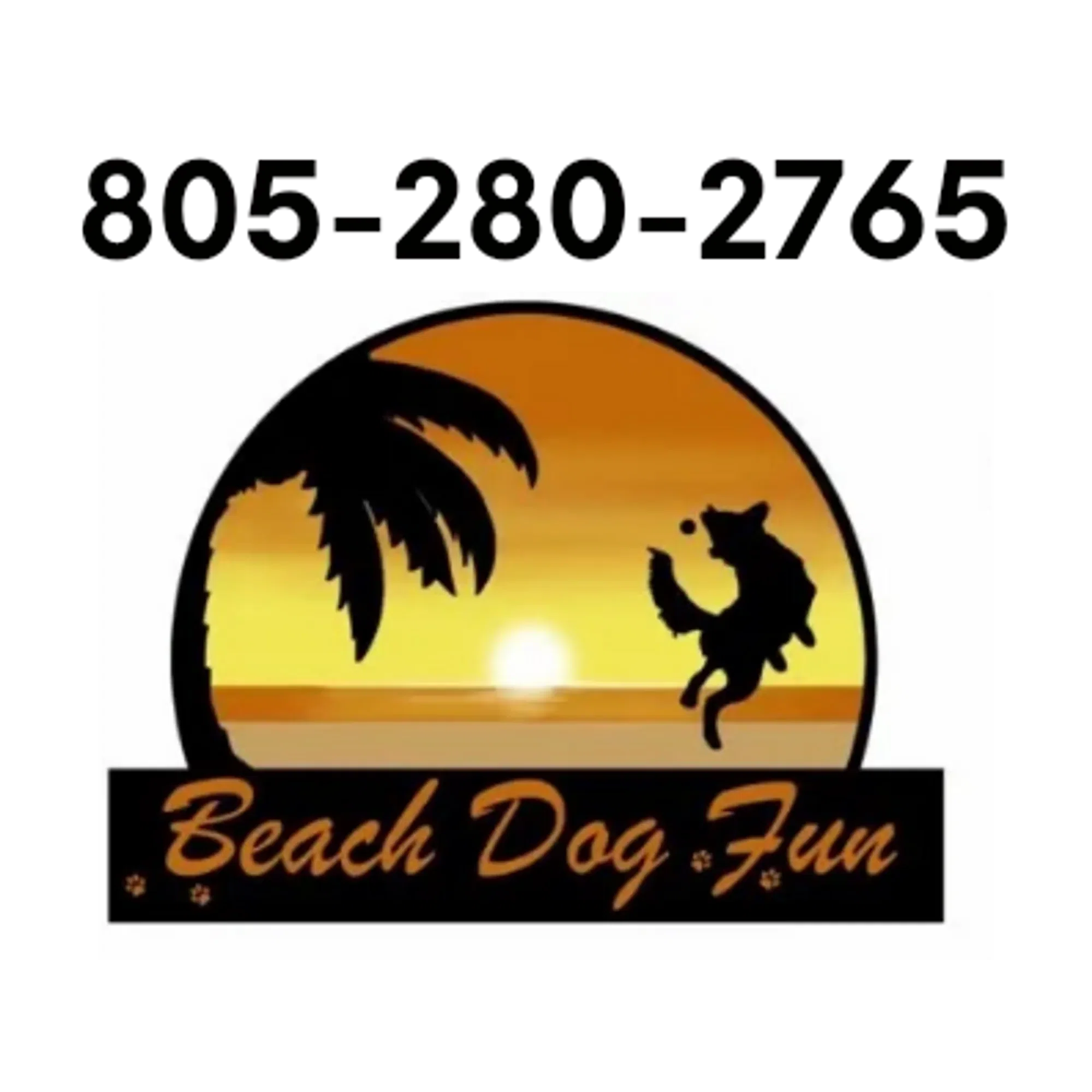 beachdogfun.com logo
