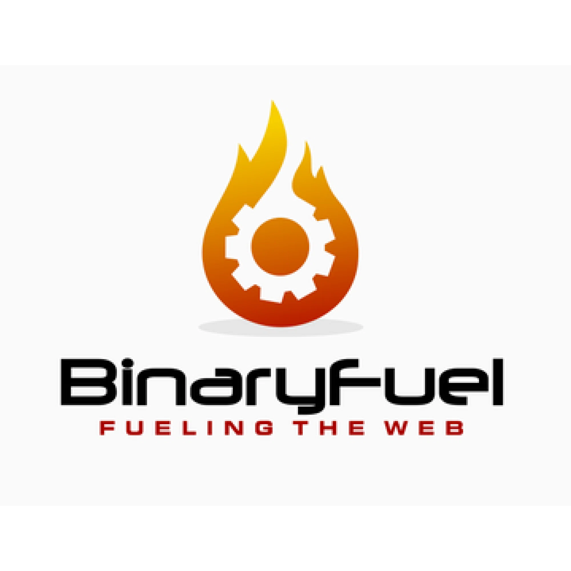 binaryfuel.com logo