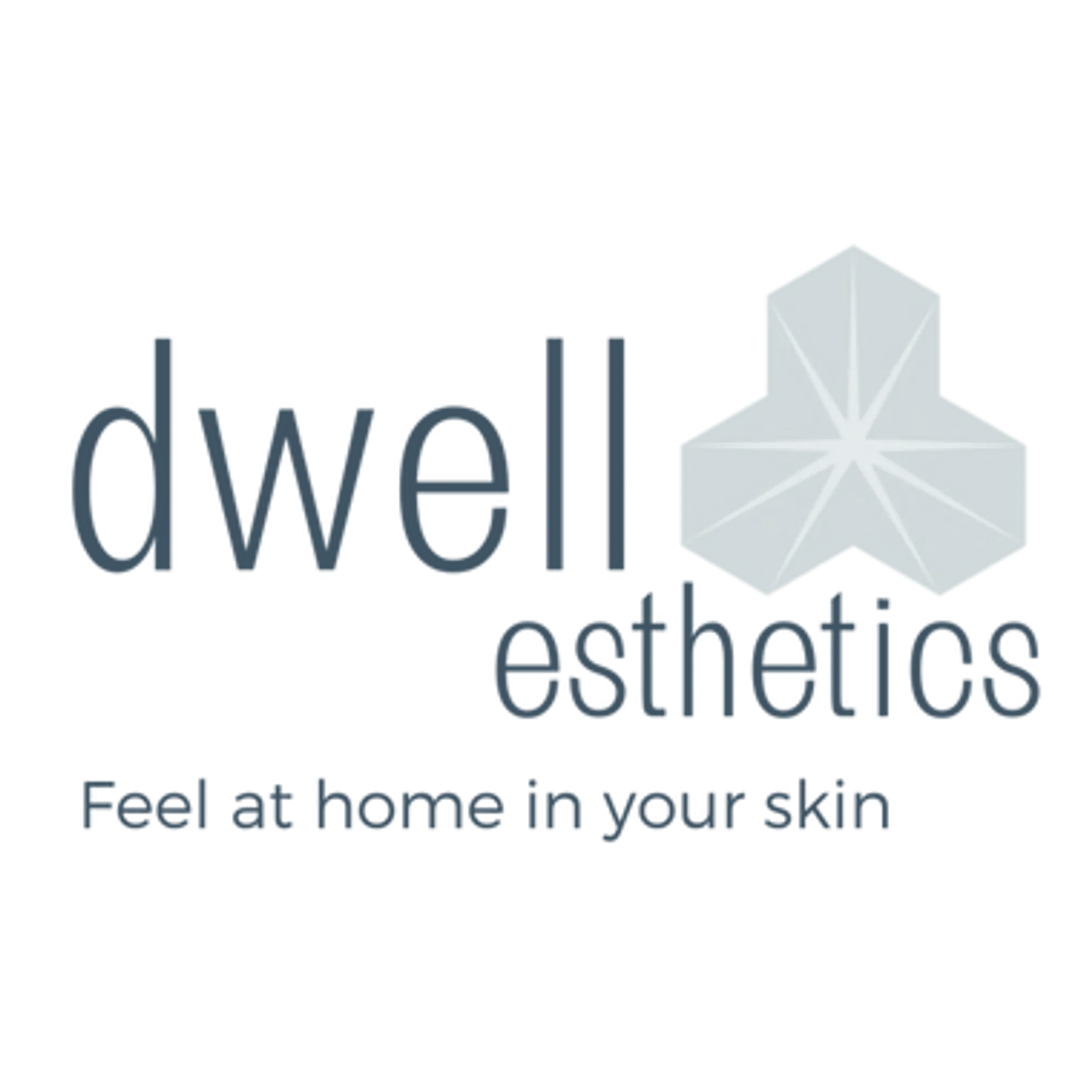 dwellesthetics.com logo