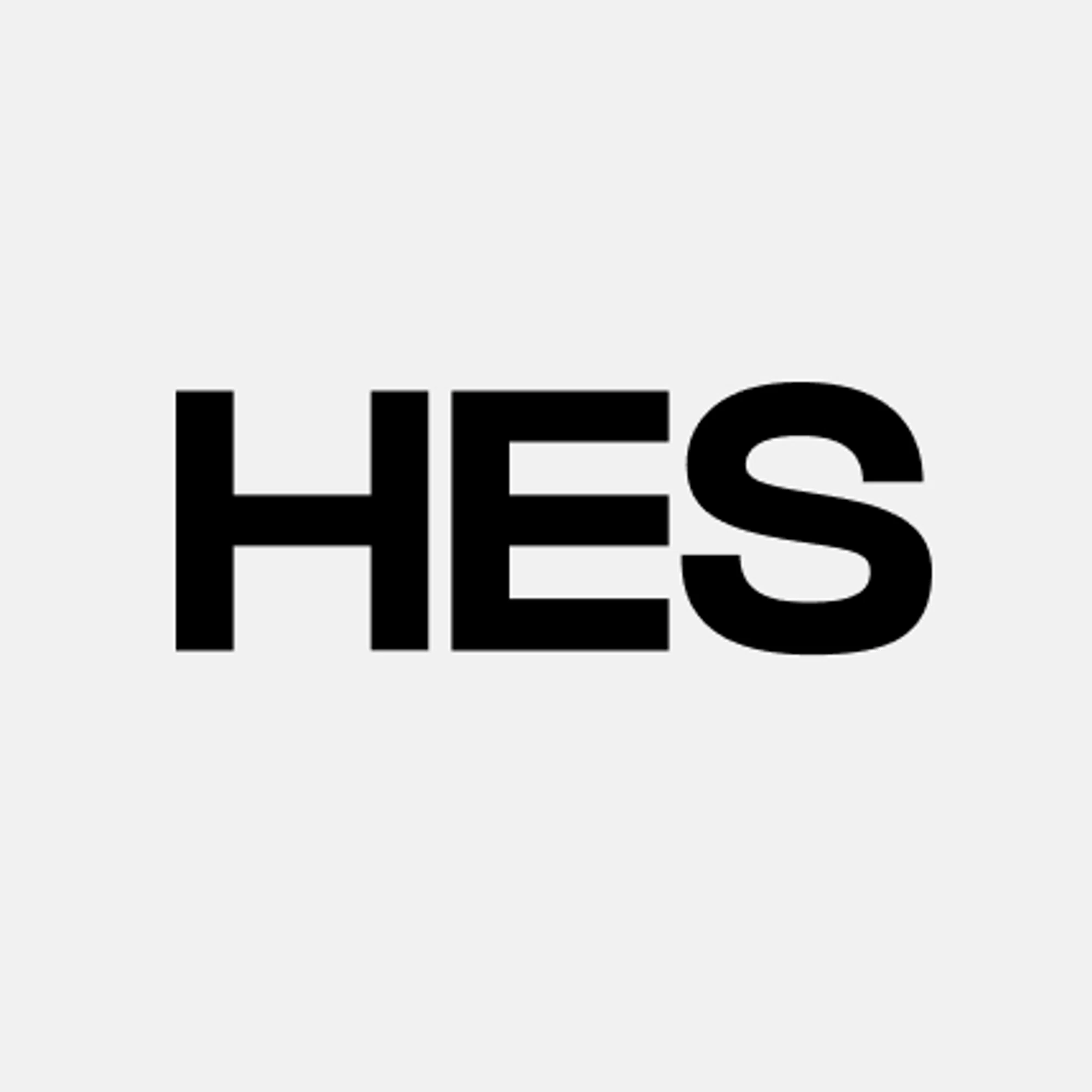 hesfintech.com logo