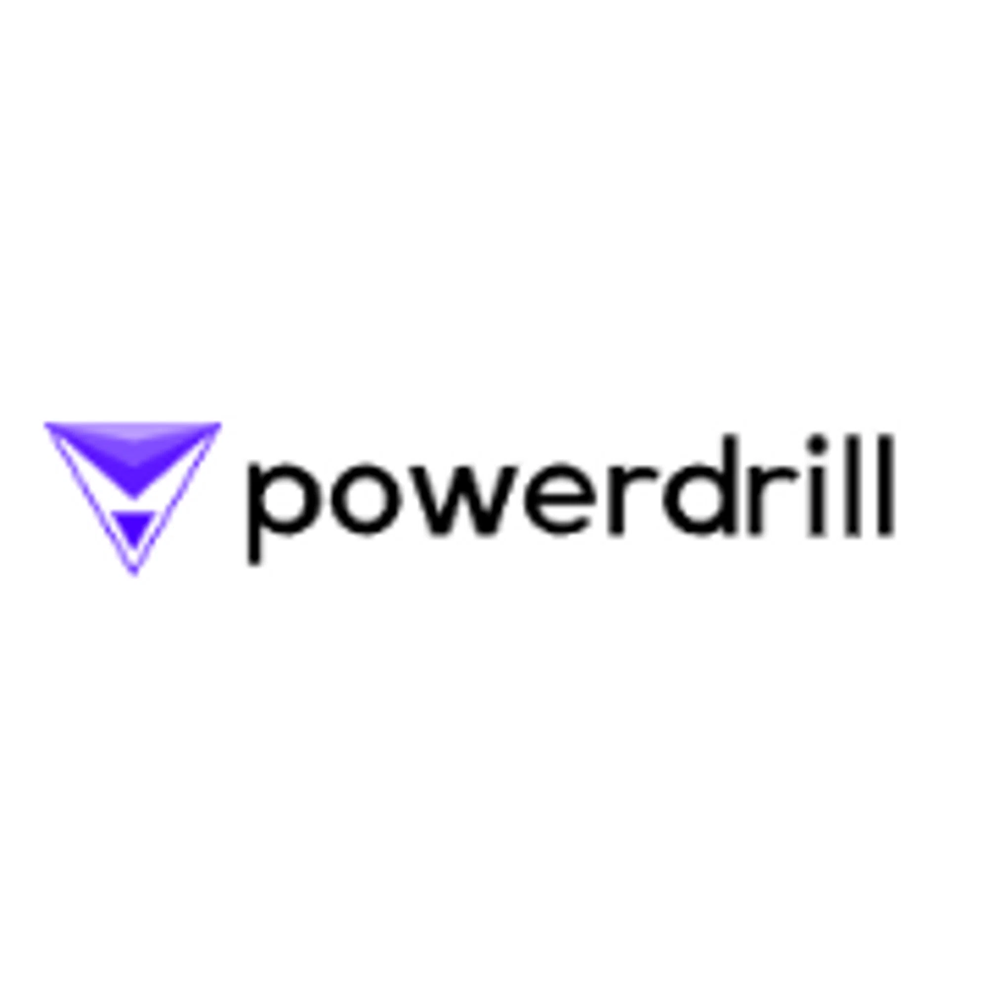 powerdrill.ai logo