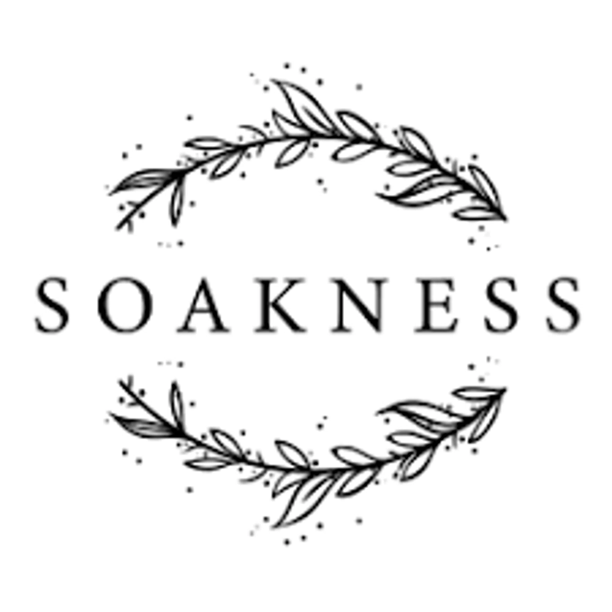 soakness.com logo