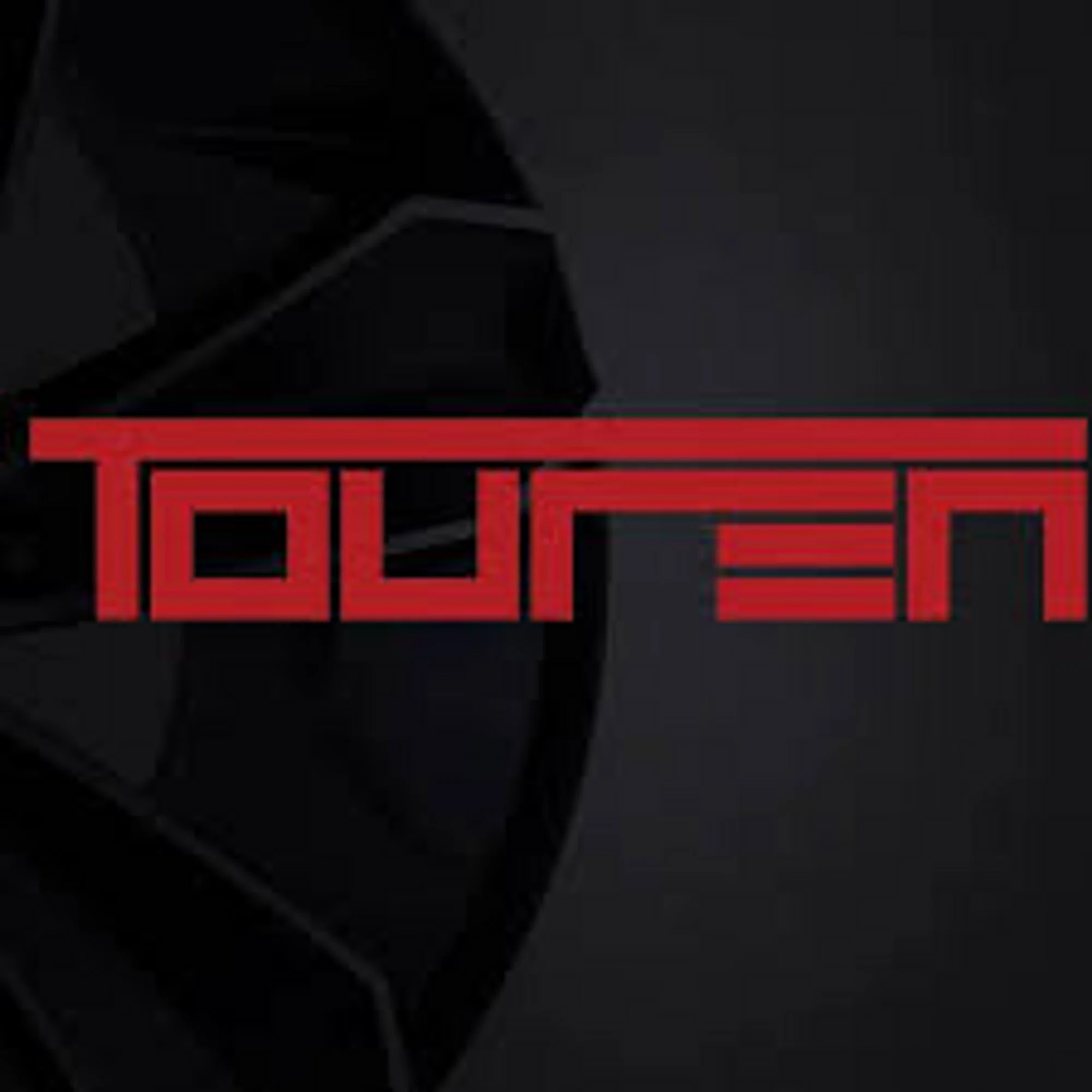 tourenwheels.com logo