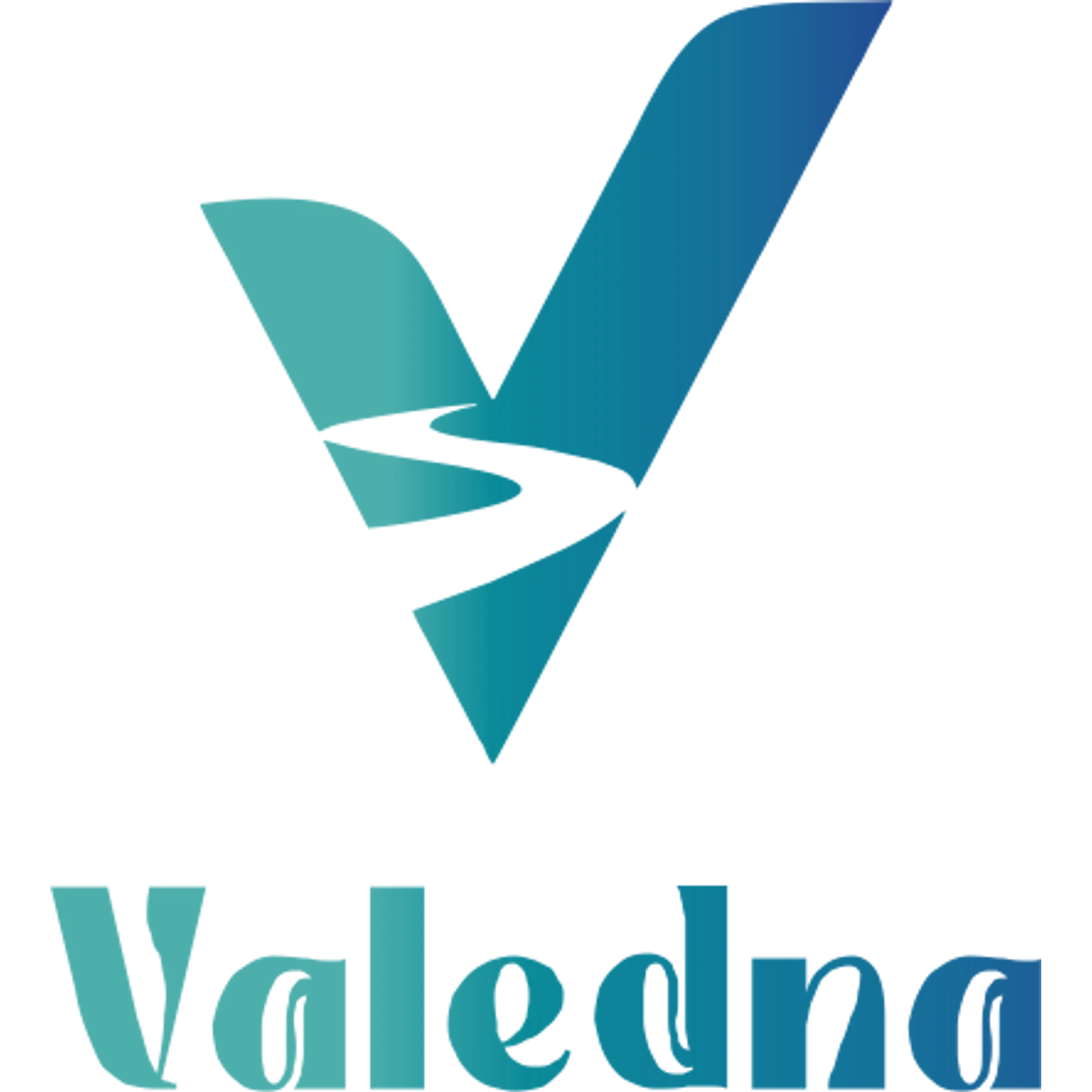 valedna.com logo