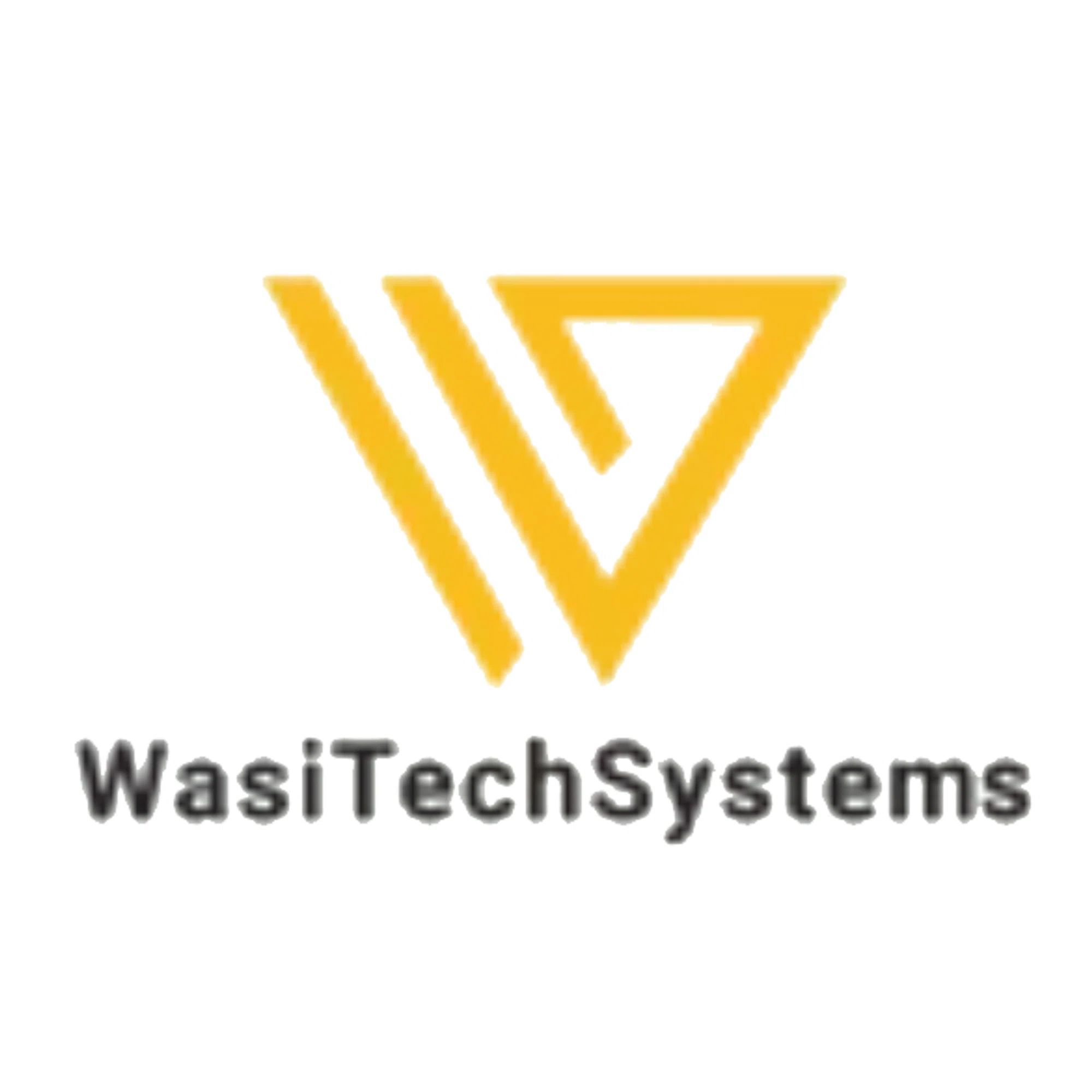 wasitechsystems.com logo